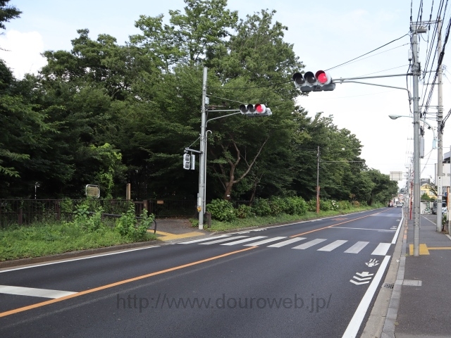 千川上水→玉川上水の写真