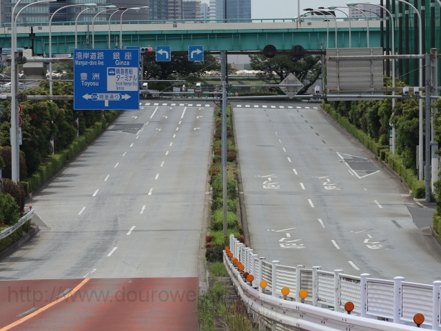 �t�C���������_�̎ʐ^