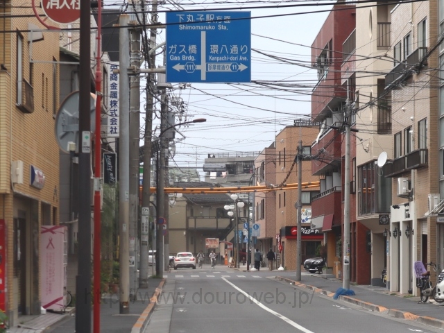 ���ێq�����_�̎ʐ^