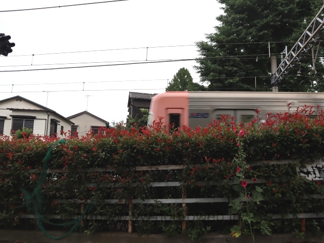 ������̓�����_�A���Ɓi���j