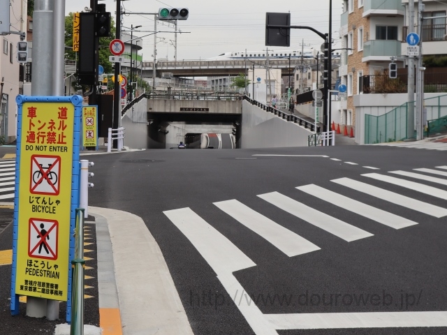 ���Ɓi�L���j�N�_�̎ʐ^