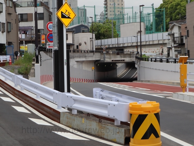 �L�g���l���̎ʐ^