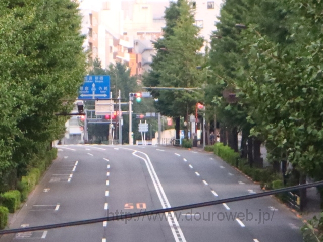 ���Ɓi�_�{�OII���j�T���̎ʐ^