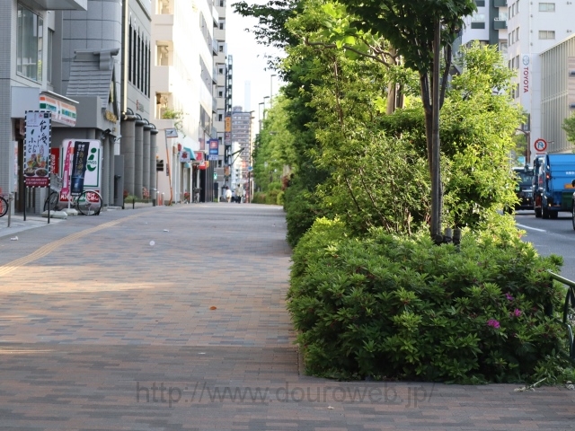 ���Ɓi��v�ہj�̎ʐ^