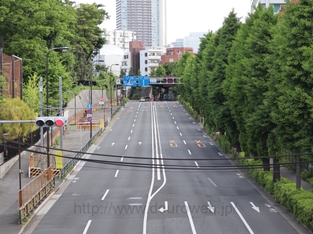 �w�K�@���◯���t�߁A���Ɓi�G�i���J�j�N�_�̎ʐ^