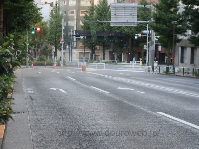 �V�h�ܒ��ږk�����_�̎ʐ^