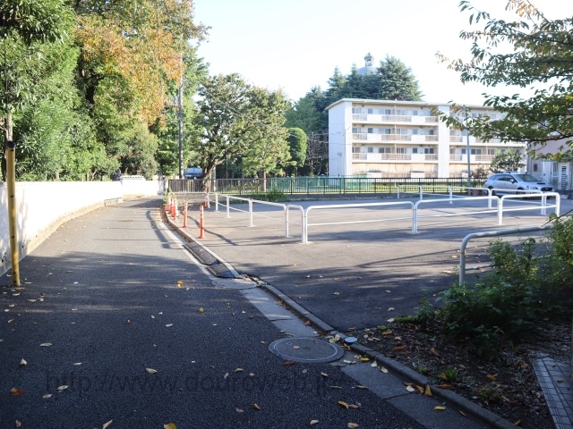 ���Ɓi�]�Óc�j�̎ʐ^