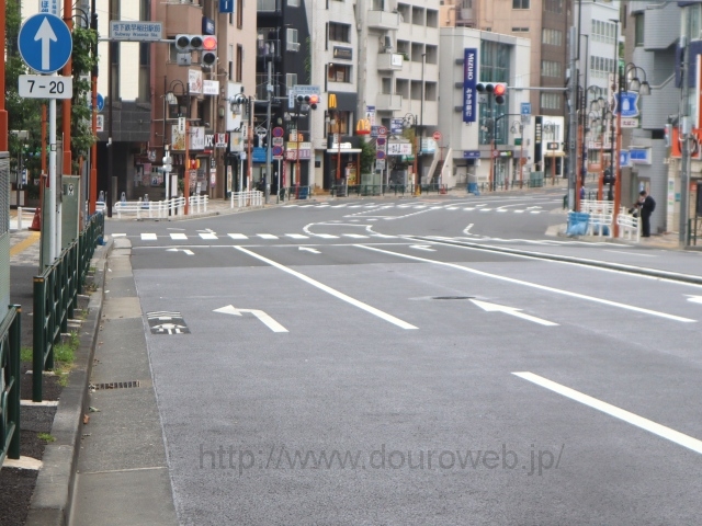 �n���S����c�w�O�����_�̎ʐ^