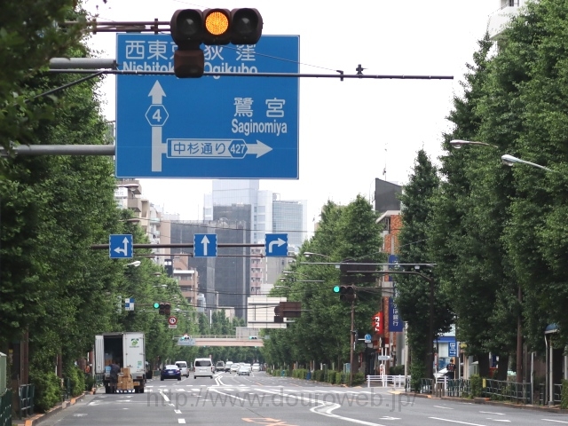杉並区役所前交差点の写真