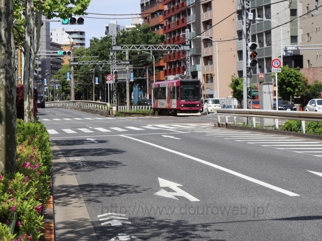 �s�d����c�w�t�߂̌����_�̎ʐ^