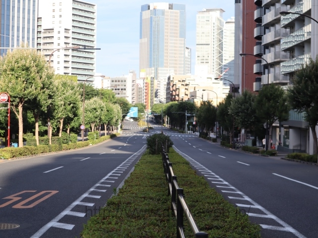 �����i�k�V�h�j�N�_�̎ʐ^