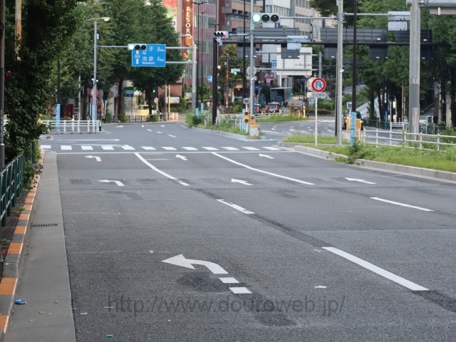 �V�h�ܒ��ږk�����_�̎ʐ^