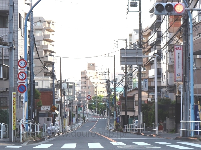 �ᏼ�������_�A���Ɓi�Ėڍ�j�N�_�̎ʐ^