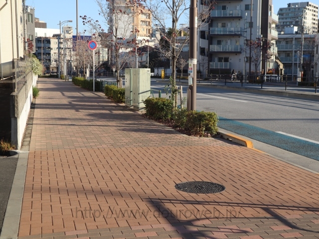 ���Ɓi�͓c���j�̎ʐ^