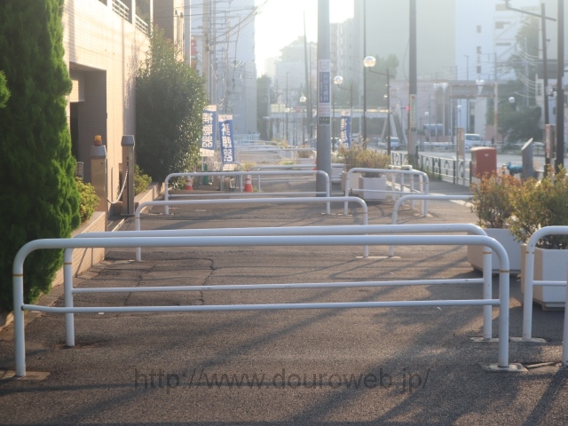 ���Ɓi�ڔ���j�̎ʐ^�̎ʐ^