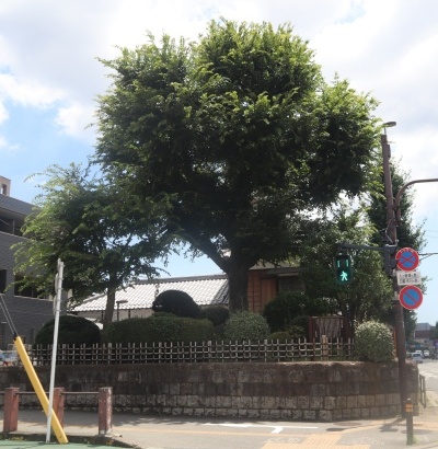 �u���ꗢ�˂̎ʐ^