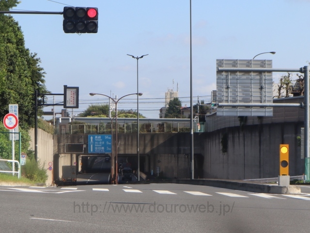 �V��{�o�C�p�X���������_�̎ʐ^