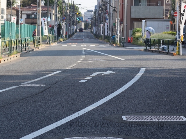 ���Ɓi�瑁�j�̎ʐ^