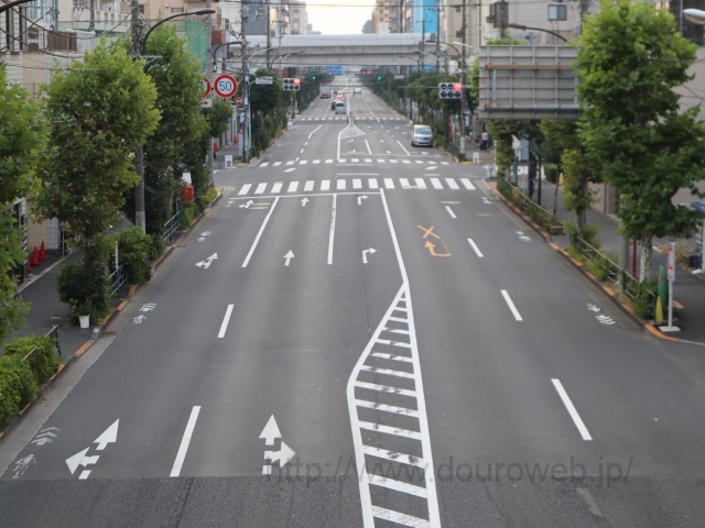 �����������_�̎ʐ^