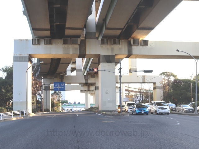 �C�������_�̎ʐ^