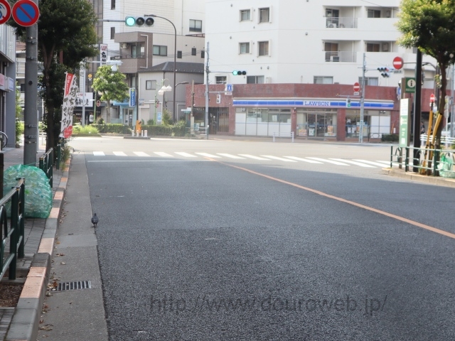 �n�c���ȋ��̌����_�̎ʐ^