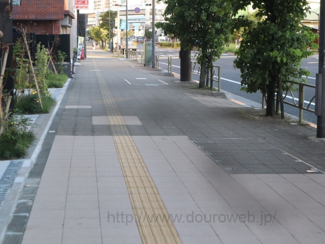 ������I���̎ʐ^