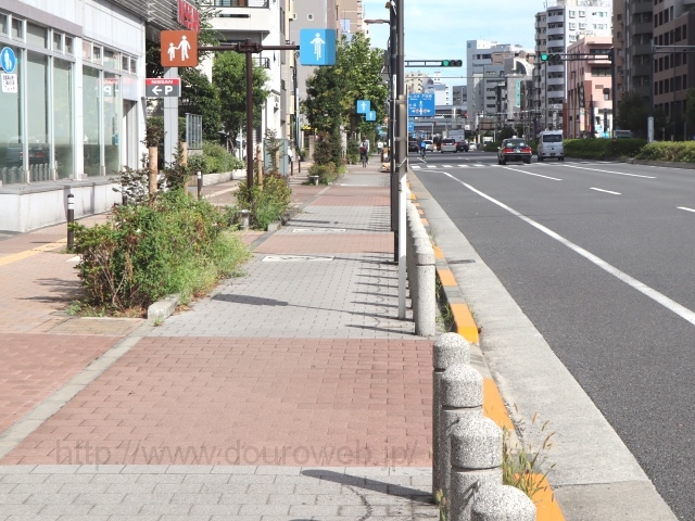 ������II���̎ʐ^