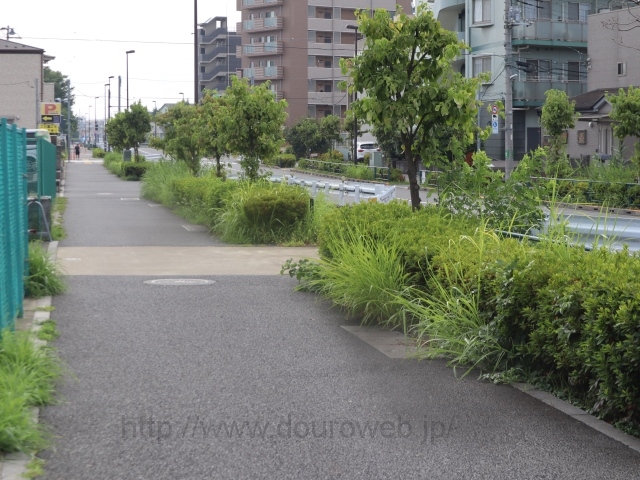 ���Ɓi��j�̎ʐ^