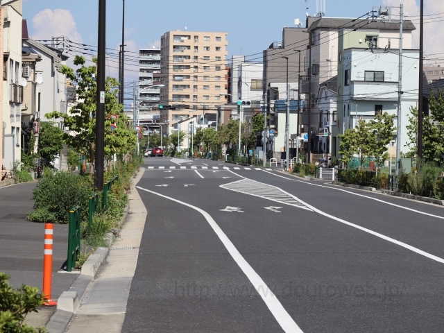 ���Ɓi�~�c2�j�̎ʐ^