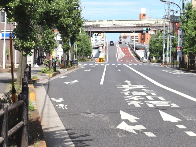 �ܕ��q�V���̐��̌����_�̎ʐ^