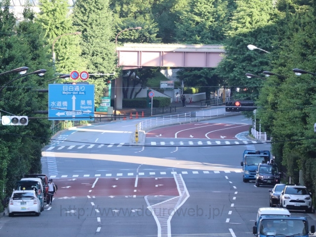 ���≺�����_�̎ʐ^