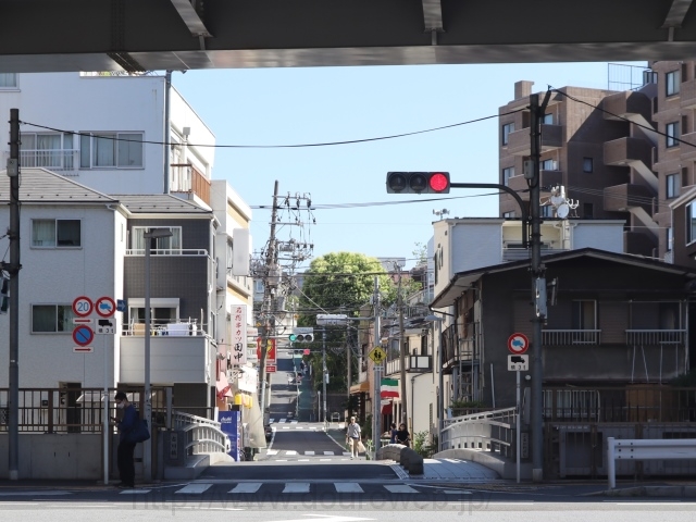 �Ð�������̌����_�̎ʐ^