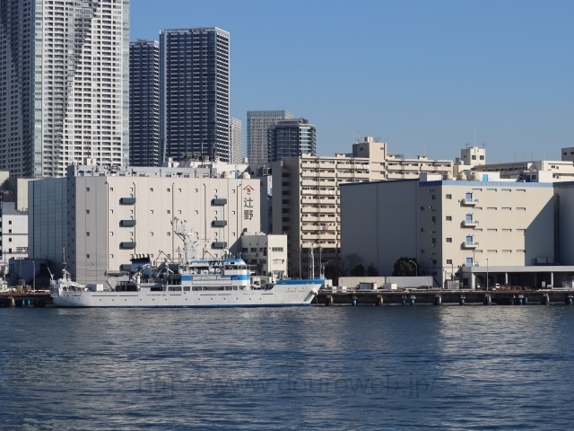 �����`���f���̎ʐ^