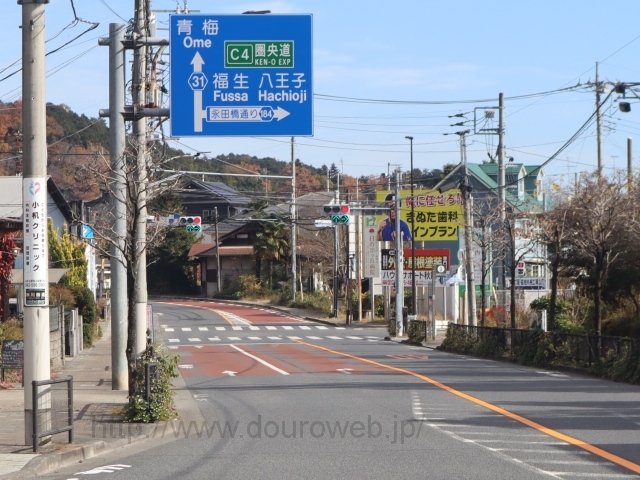 ���₭�ڌ����_�̎ʐ^