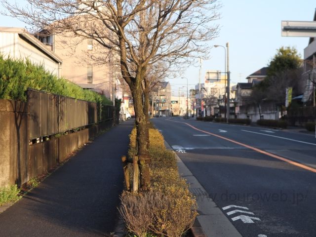 �X�H���Ɓi�茴I���j�̎ʐ^