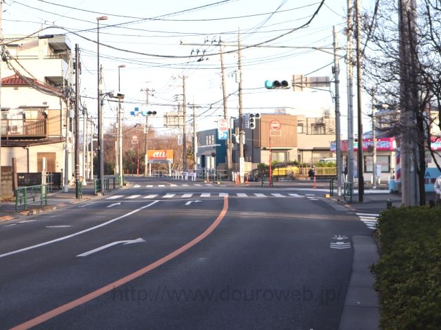 ���茴�����_�̎ʐ^