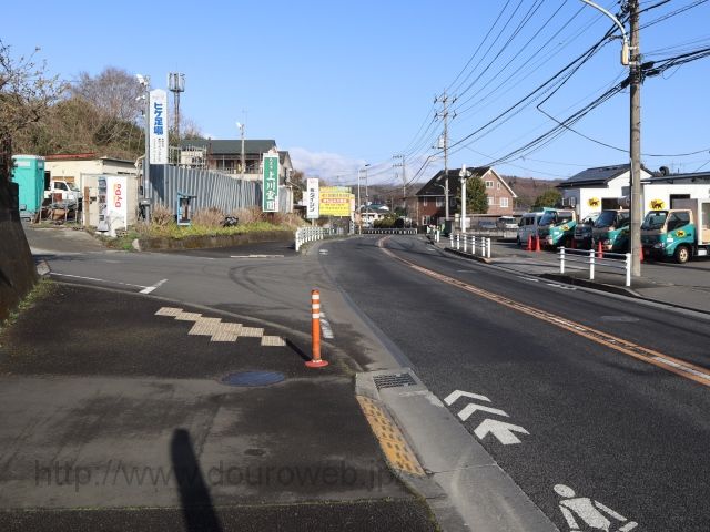 �v�����_�̎ʐ^