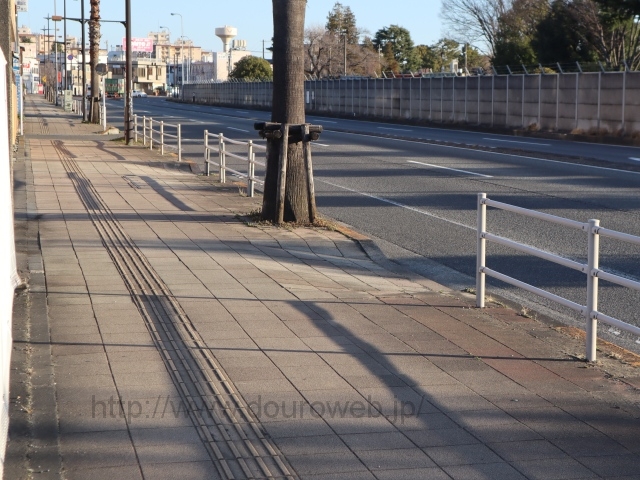 ���Ɓi���c�n��j�̎ʐ^