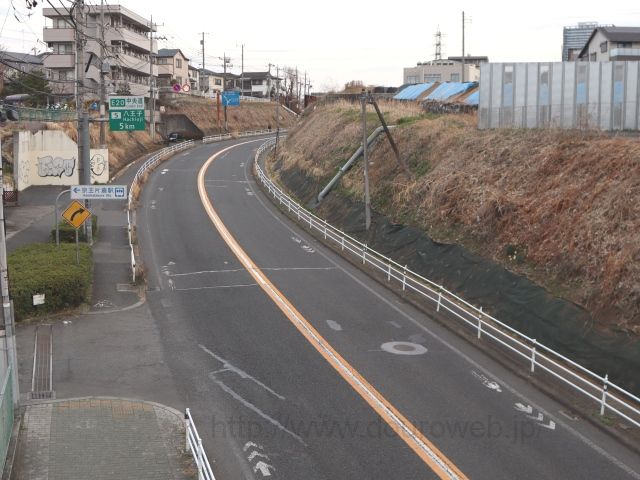 20��BP�v�����_�̎ʐ^