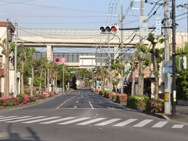 �F�c�����_�̎ʐ^