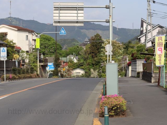 ���I���̎ʐ^