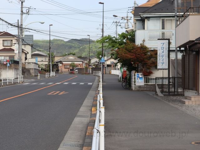 ���Ɓi����4�`6���ځj�̎ʐ^