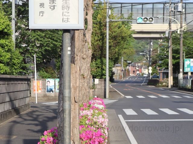 ���Ɓi�F�c�j�̎ʐ^