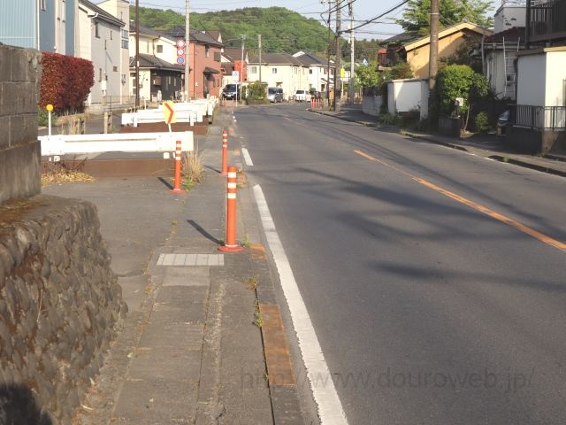 ���Ɓi�F�c�j�̎ʐ^