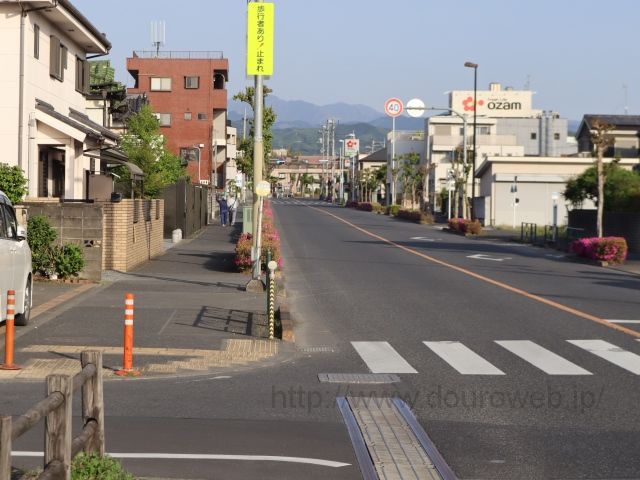 ���Ɓi�F�c�����j�����̎ʐ^