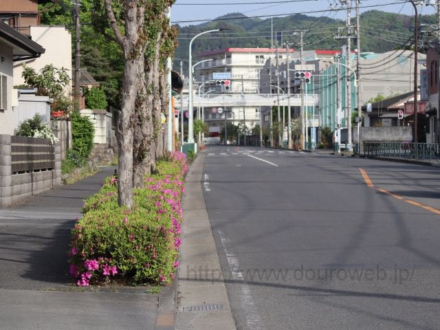 �����X�֋ǑO�����_�̎ʐ^