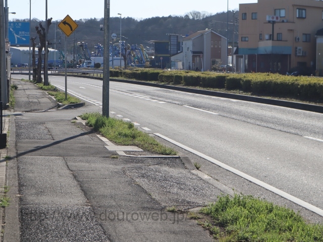 �o�C�p�X�k�n��̎ʐ^