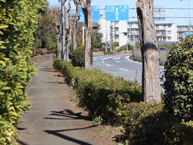 �o�C�p�X��n��̎ʐ^