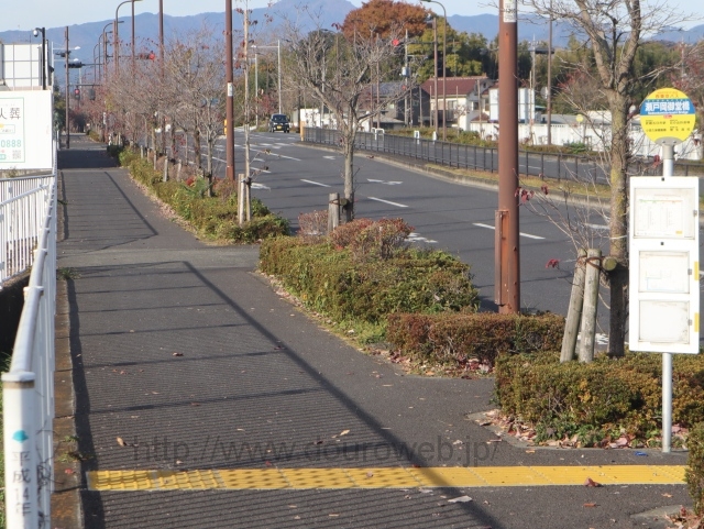 ���H��̎ʐ^