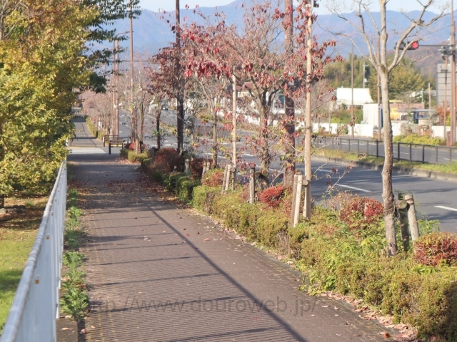 ��O�H��̎ʐ^